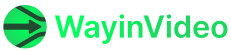 Wayin AI Logo
